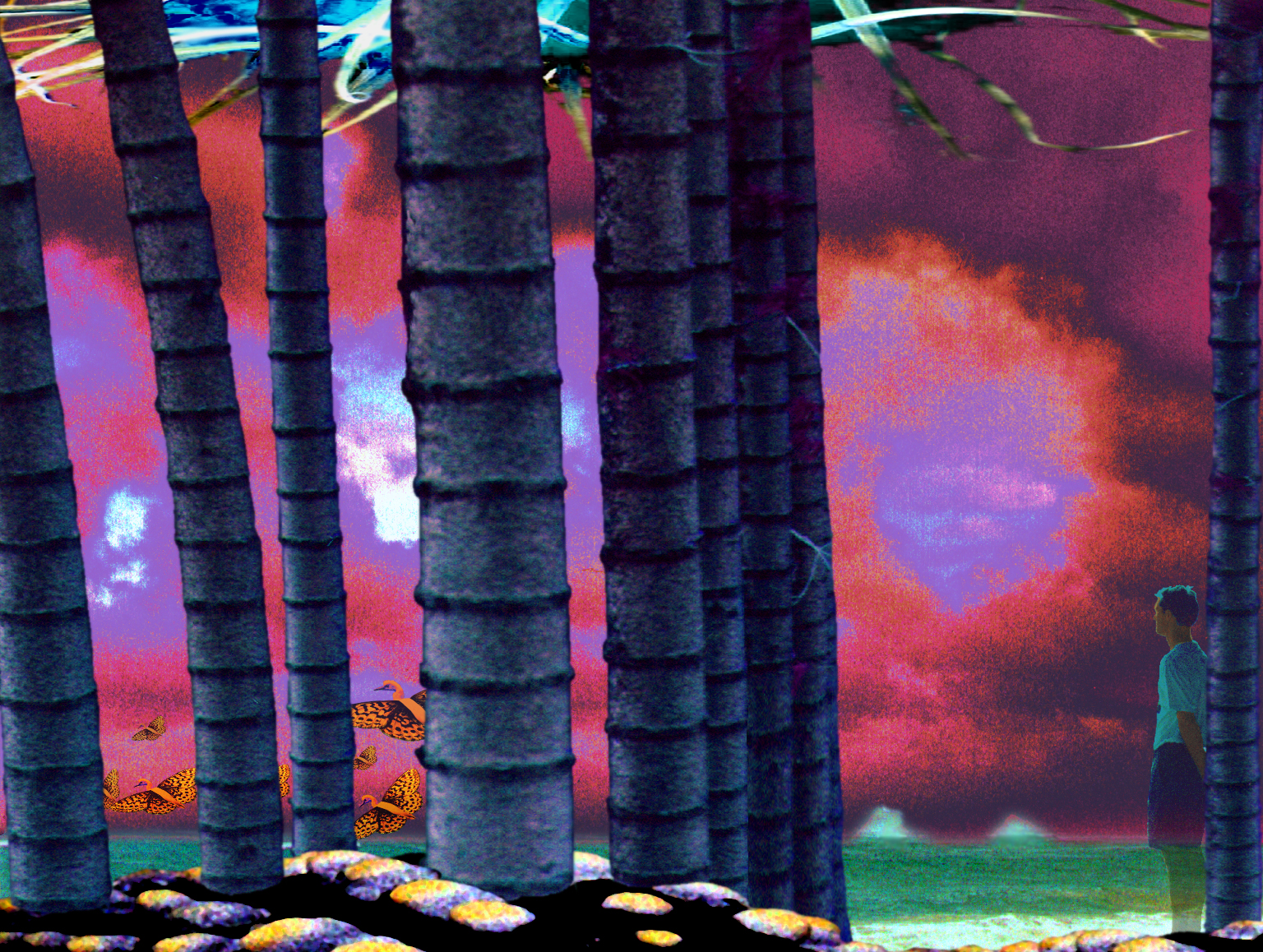 Islands