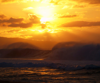 Golden Afternoon
