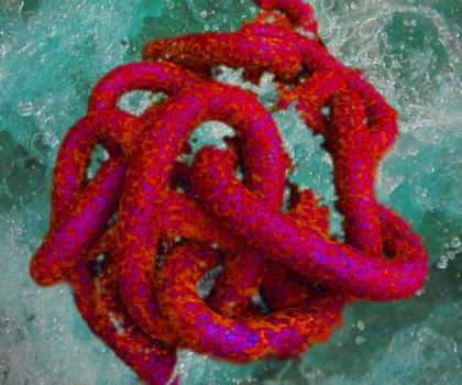 H2o Chain