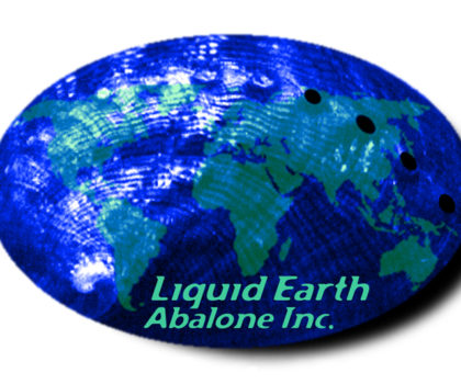 Liquid Earth