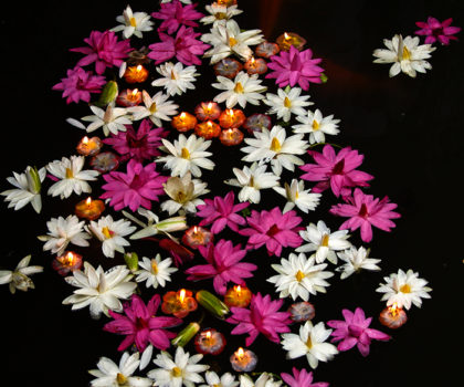 Bali Koi Pond